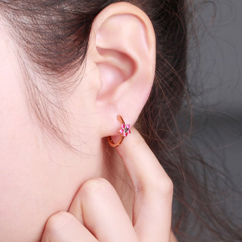 Maximus quam posuere