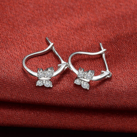 Donec condimentum fer