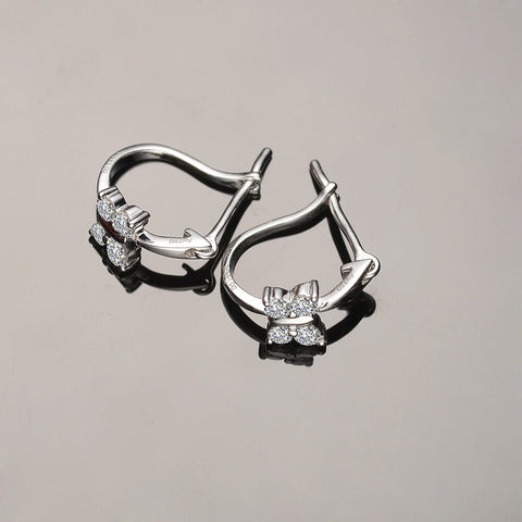 Donec condimentum fer